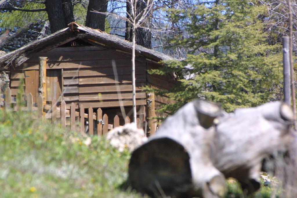 Alojamiento Rural Las Maravillas Canada Catena Екстер'єр фото